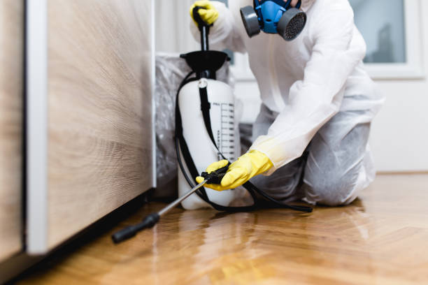 Pest Control for Restaurants in Federal Heights, CO