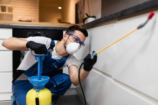 Best Local Pest Control Services  in Federal Heights, CO