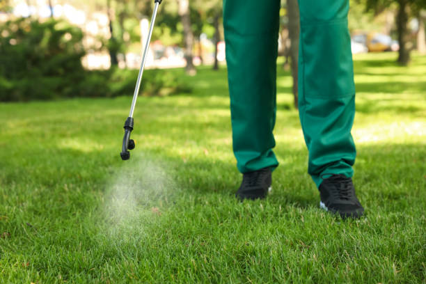 Best Best Pest Control Companies  in Federal Heights, CO