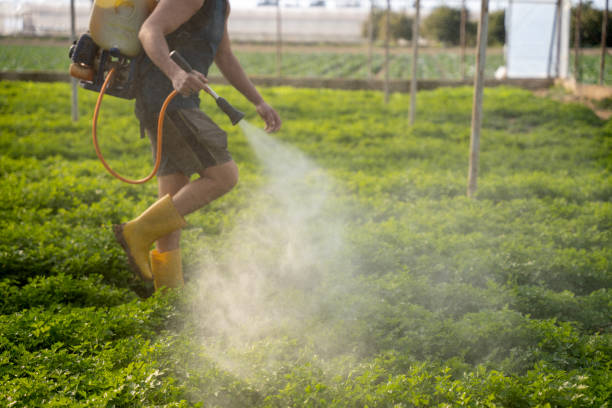Pest Control Cost in Federal Heights, CO