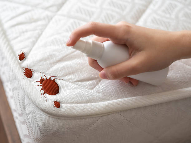 Best Pest Control for Restaurants  in Federal Heights, CO