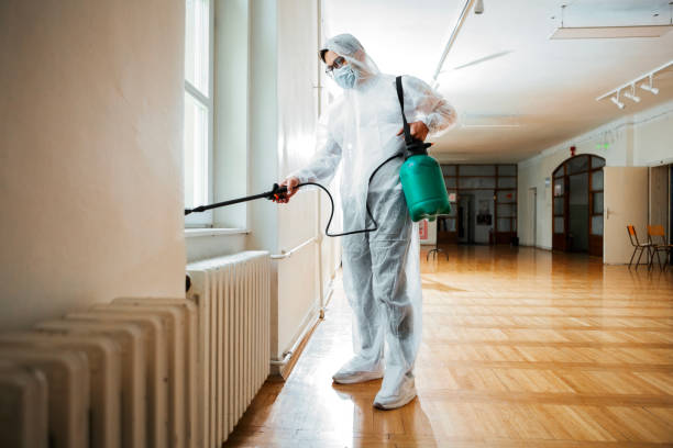Best Flea Control Services  in Federal Heights, CO