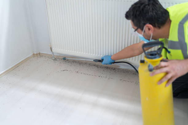 Best Affordable Pest Control Services  in Federal Heights, CO