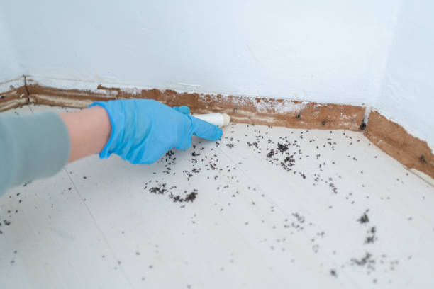 Best Best Pest Control Companies  in Federal Heights, CO